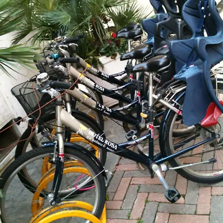 Allegroitalia Rosa Hotel Alassio