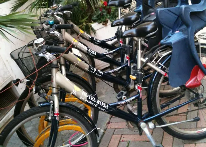 Allegroitalia Rosa Ξενοδοχείο Αλάσιο