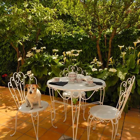 Allegroitalia Rosa Готель 3*