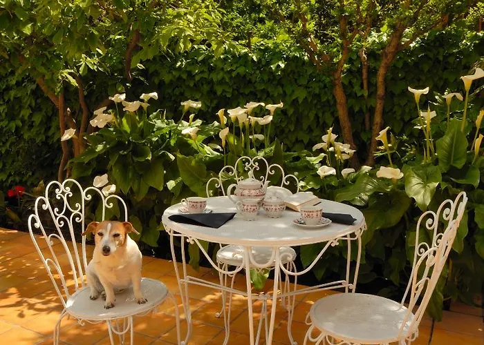 Allegroitalia Rosa Hotel 3*